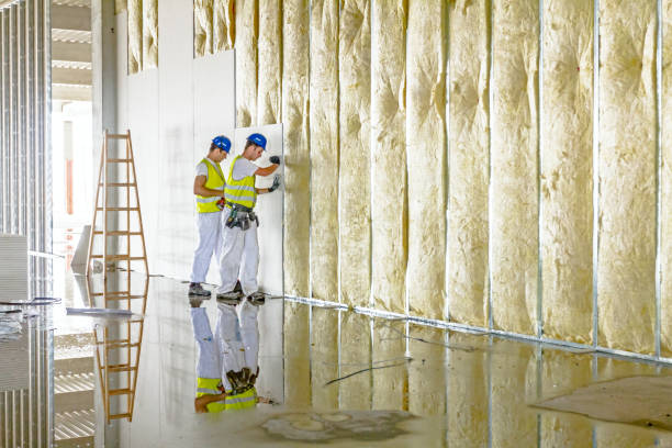 Best Types of Insulation in Potomac Park, CA